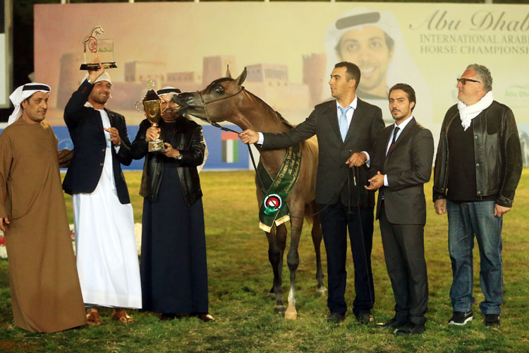 D Seraj wins Zayed Cup in horse show